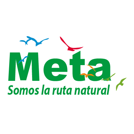 Media maratón del meta 2025-15