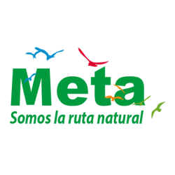 Media maratón del meta 2025-15