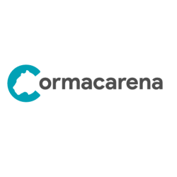 Media maratón del meta 2025-28